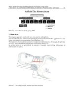 Human Musculoskeletal Biomechanics Part 4 pptx