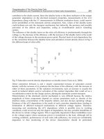 Solar Cells Silicon Wafer Based Technologies Part 13 pot