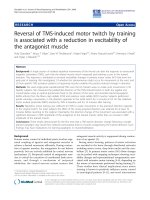 Báo cáo hóa học: 