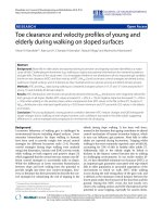 báo cáo hóa học: 