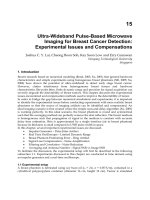 Novel Applications of the UWB Technologies Part 12 doc