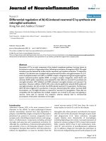 báo cáo hóa học: 