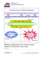 báo cáo hóa học: 