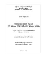 nhóm con mờ tự do và nhóm con mờ của nhóm abel