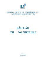 công ty cổ phần đầu tư tài chính quốc tế và phát triển doanh nghiệp idj báo cáo thường niên 2012