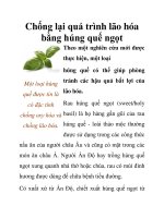 Chống lại quá trình lão hóa bằng húng quế ngọt pptx