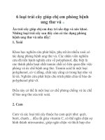 6 loại trái cây giúp chị em phòng bệnh ung thư vú pdf