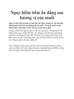 Nguy hiểm tiềm ẩn đằng sau hương vị của muối pot