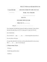 Mẫu số 2.11 Mẫu báo cáo thẩm định thiết kế sơ bộ pdf