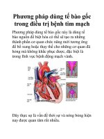 Phương pháp dùng tế bào gốc trong điều trị bệnh tim mạch potx