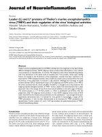 báo cáo hóa học: 