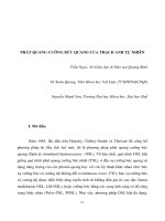 Báo cáo nghiên cứu khoa học 