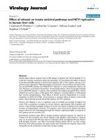 Báo cáo sinh học: 