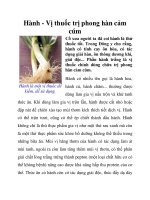 Hành - Vị thuốc trị phong hàn cảm cúm doc