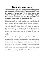 Tinh hoa của muối pptx