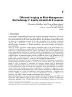 Risk Management Trends Part 9 potx