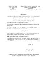 Quyết định số 3549/QĐ-CT docx