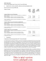 Rapport du Gérant des Investissements (suite)_5 ppt