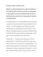 KỸ THUẬT TRỒNG CÂY HỒNG GIÒN pot