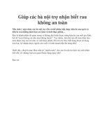 Giúp các bà nội trợ nhận biết rau không an toàn docx