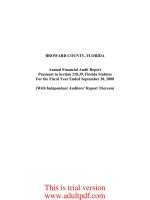 FLORIDA Annual Financial Audit Report for the Fiscal Year Ended September 30, 2008 (With Independent Auditors’ Report Thereon)_part1 doc
