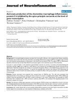 báo cáo hóa học: 