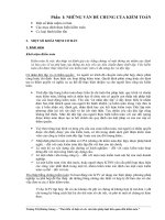 Những vấn đề chung của kiểm toán