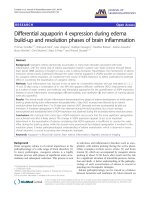 báo cáo hóa học: 