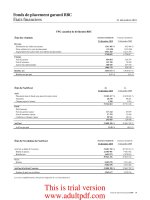 La Compagnie d’assurance vie RBC FONDS DE PLACEMENT GARANTI RBC ÉTATS FINANCIERS AUDITÉS 31 décembre 2010_3 pot