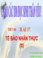 bai 17 TB NHAN THUC, pot