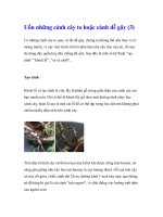 Uốn những cành cây to hoặc cành dễ gãy (3) ppt