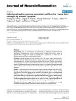 báo cáo hóa học: 