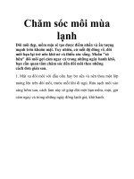 Chăm sóc môi mùa lạnh doc