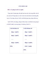 CÂU LỆNH CASE pot