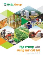 tập trung vào năng lực cốt lõi báo cáo thường niên 2013