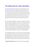 Uốn những cành cây to hoặc cành dễ gãy pdf