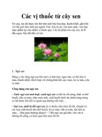 Các vị thuốc từ cây sen doc