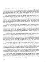 Khảo cổ học vùng duyên hải đông bắc Việt Nam part 5 ppt