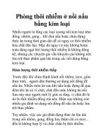 Phòng thôi nhiễm ở nồi nấu bằng kim loại potx