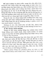 Trồng hoa, cây cảnh trong gia đình part 5 doc