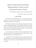 Báo cáo nghiên cứu khoa học 