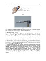 Electromagnetic Waves Propagation in Complex Matter Part 8 potx