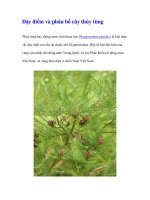 Đặc điểm và phân bố cây thủy tùng pdf