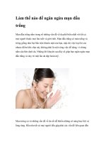 Làm thế nào để ngăn ngừa mụn đầu trắng potx