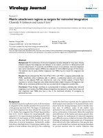 Báo cáo sinh học: 