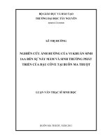 nghiên cứu ảnh hưởng của vi khuẩn sinh iaa đến sự nảy mầm và sinh trưởng phát triển của đậu cô-ve tại buôn ma thuột