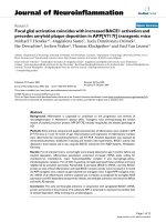 báo cáo hóa học: 