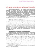 Kỹ thuật nuôi cá chim trắng thương phẩm pdf