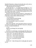 Giáo trình kỹ thuật trồng lúa part 10 pdf