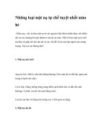 Những loại mặt nạ tự chế tuyệt nhất mùa hè ppt